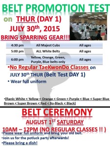 Belt Test 7-30 (53rd) poster