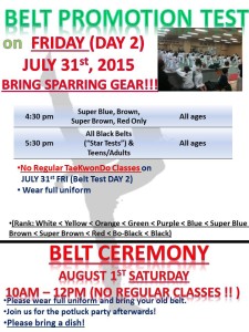 Belt Test 7-31-2015 (53rd) poster
