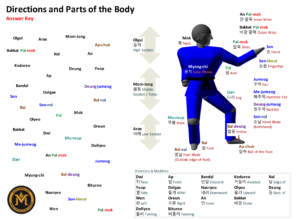 Body Parts Answers